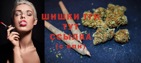 apvp Верея