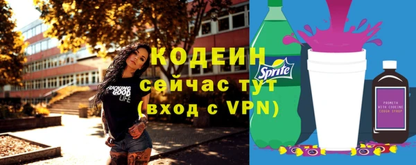 apvp Верея