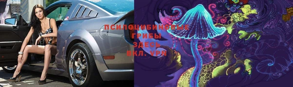 apvp Верея