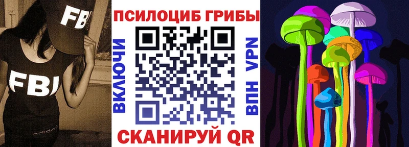 Псилоцибиновые грибы Psilocybe  Купить закладки  Сретенск 